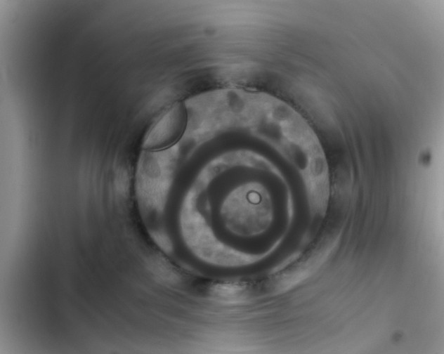 X0000103270139200809191751