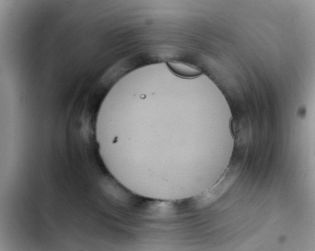 X0000103270140200809191751