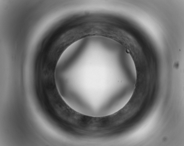 X0000103270142200809191751