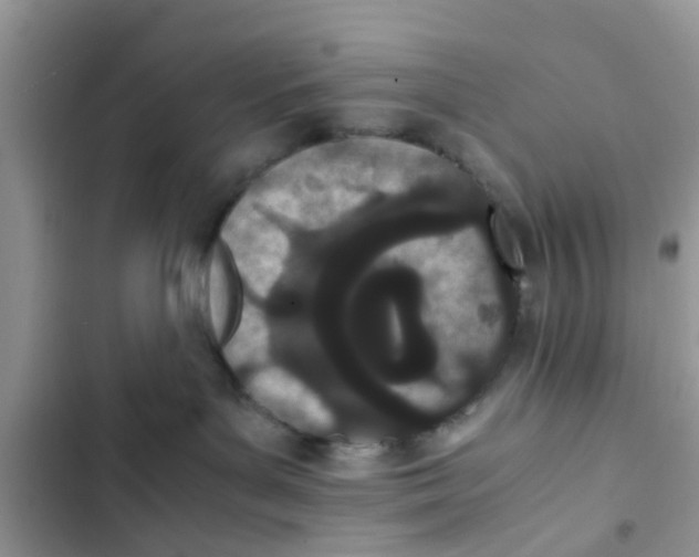X0000103270143200809191751