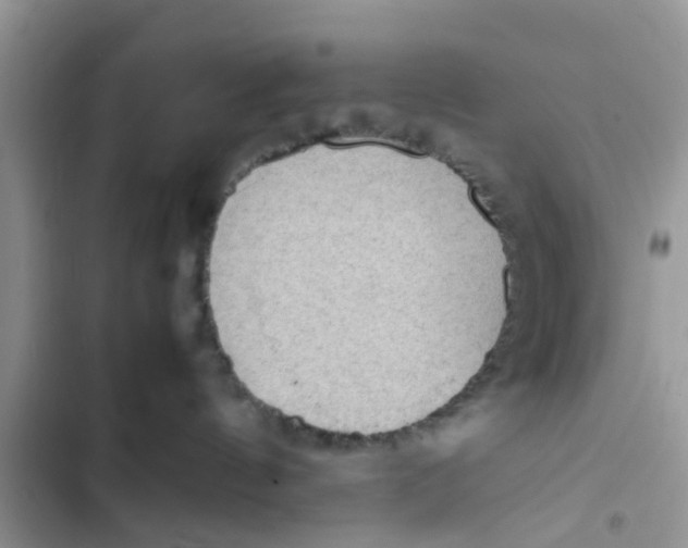 X0000103270144200809191751