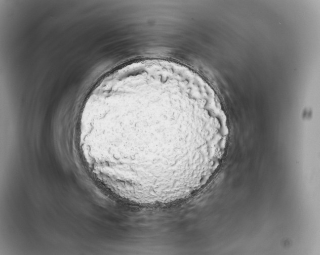 X0000103270145200809191750