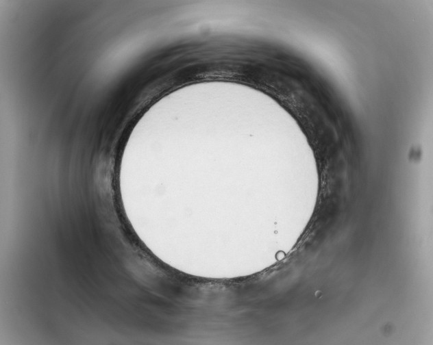 X0000103270146200809191750