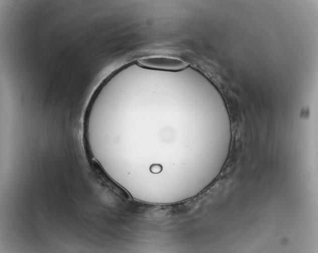 X0000103270148200809191750