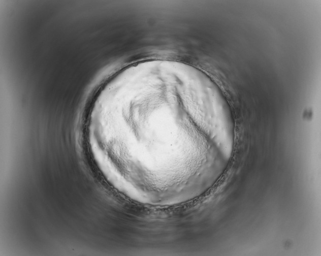 X0000103270149200809191750