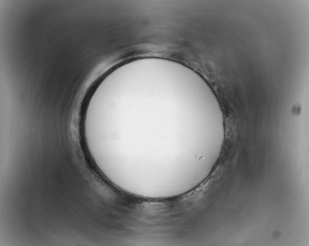X0000103270150200809191750