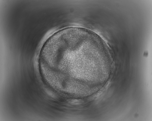 X0000103270151200809191750