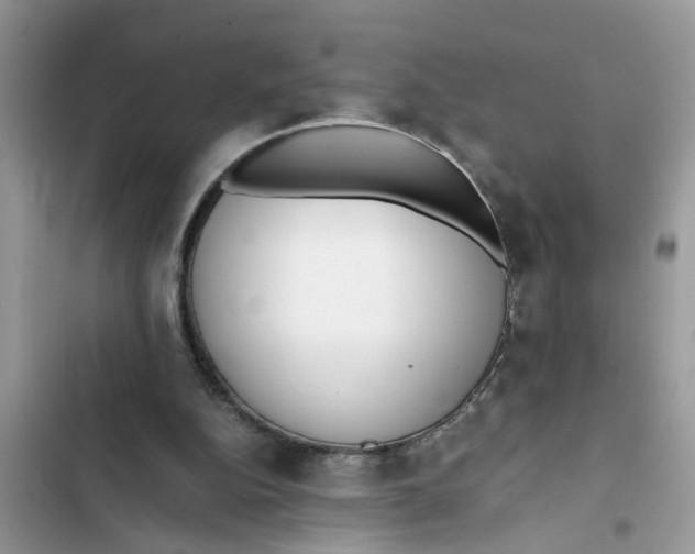 X0000103270152200809191750
