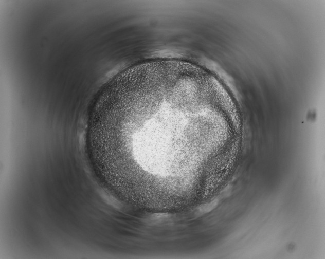 X0000103270153200809191750