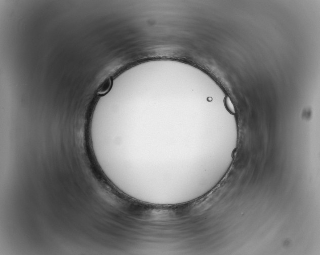 X0000103270154200809191750