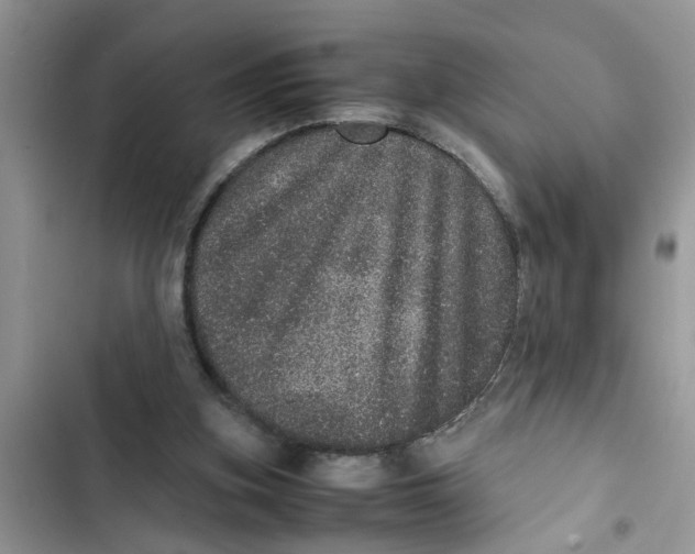 X0000103270155200809191750