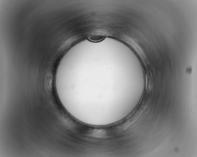 X0000103270157200809191750