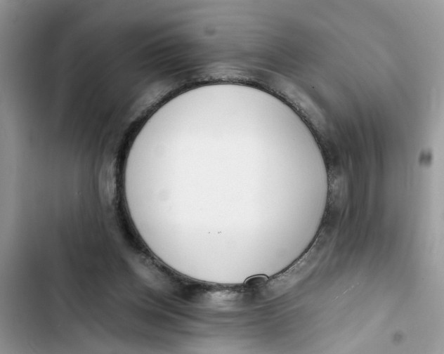 X0000103270158200809191750