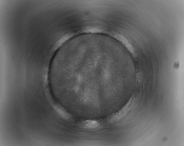 X0000103270159200809191750