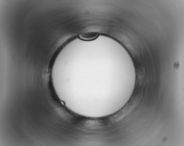 X0000103270160200809191750