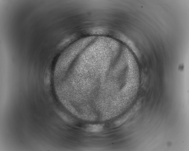 X0000103270161200809191751