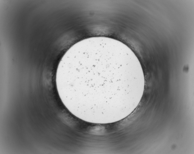 X0000103270162200809191751