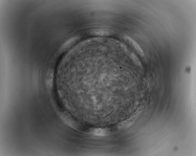 X0000103270163200809191751
