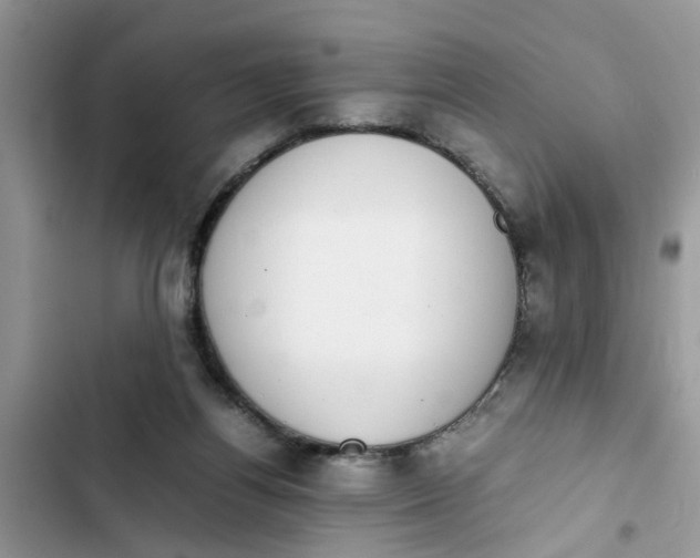 X0000103270164200809191751