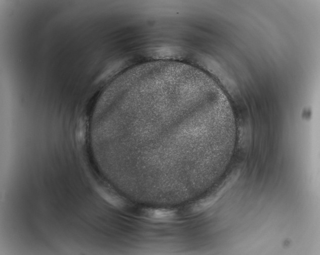X0000103270165200809191751