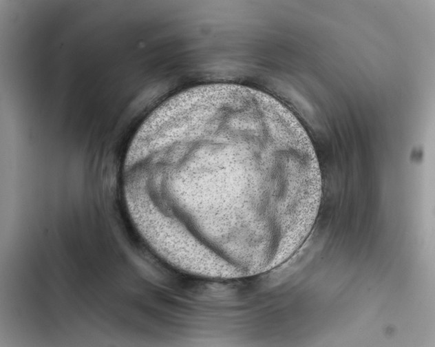 X0000103270166200809191751