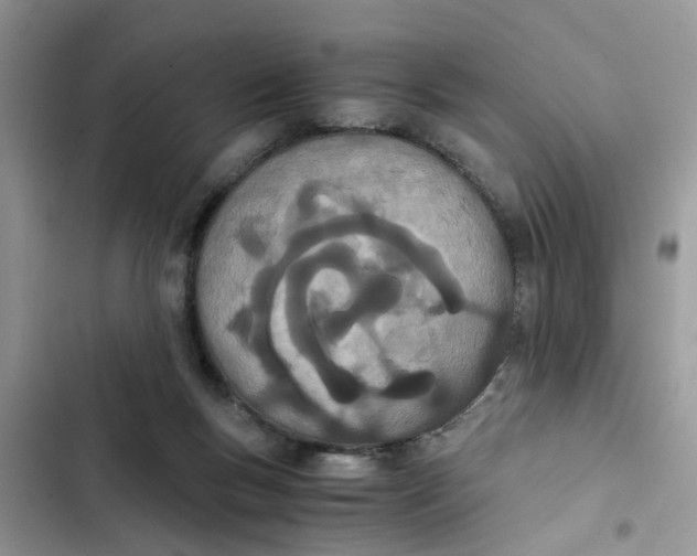 X0000103270167200809191751