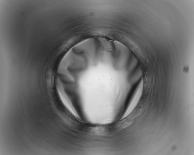 X0000103270168200809191751
