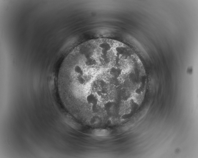 X0000103270169200809191751