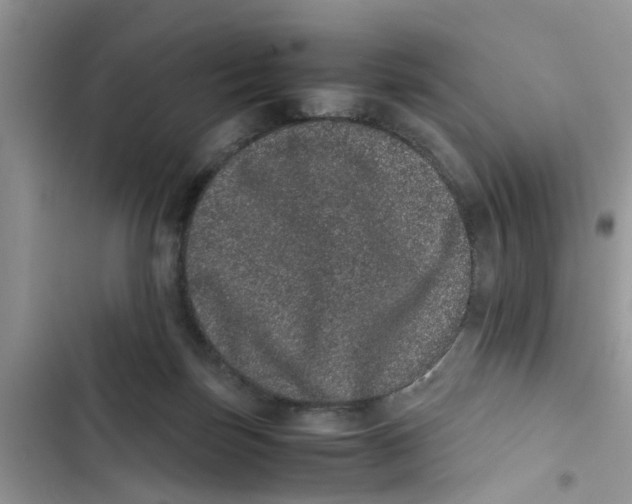 X0000103270171200809191751