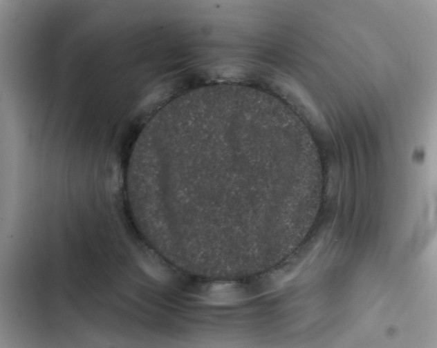 X0000103270173200809191751