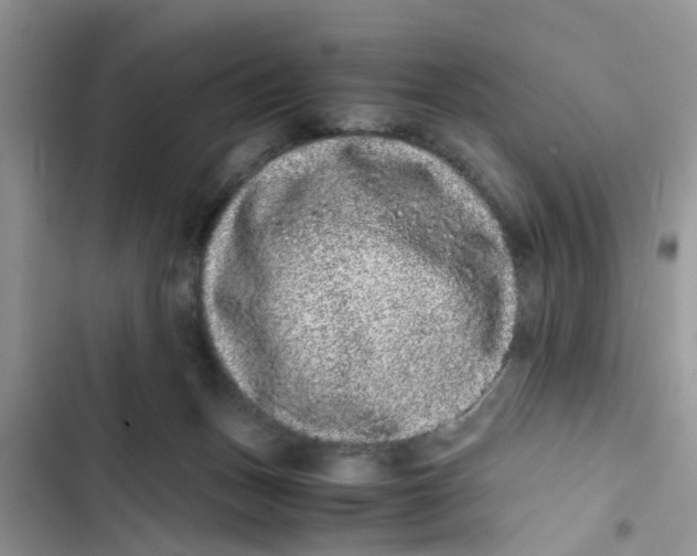 X0000103270175200809191751