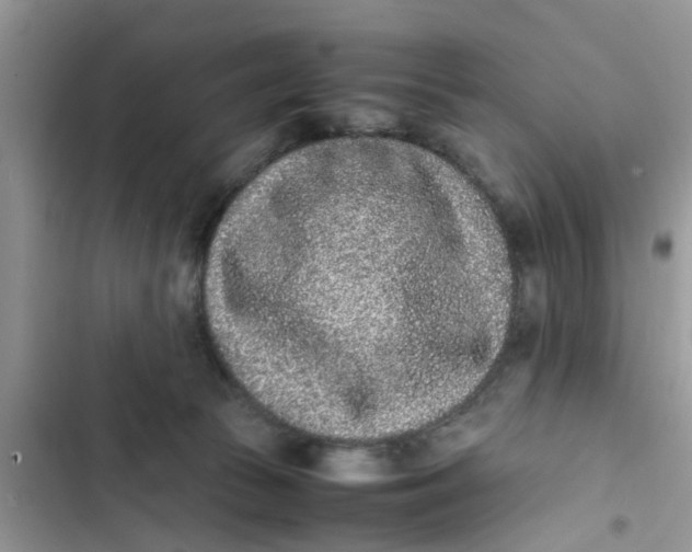 X0000103270177200809191751