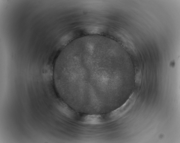 X0000103270179200809191751