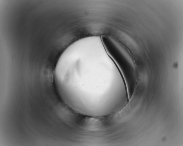 X0000103270180200809191751
