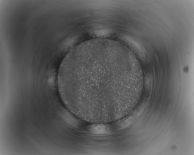 X0000103270181200809191751