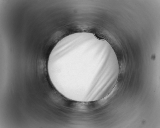X0000103270182200809191751