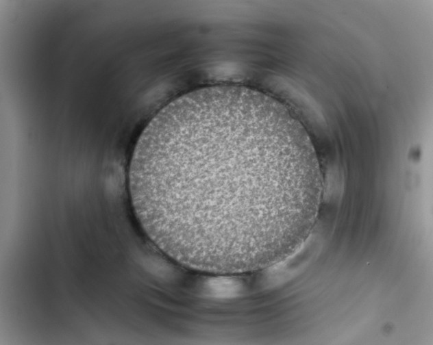 X0000103270183200809191751