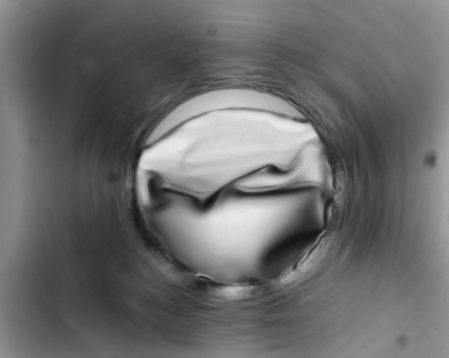 X0000103270184200809191751