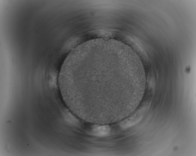 X0000103270185200809191751