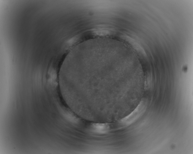 X0000103270187200809191751