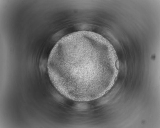 X0000103270189200809191751