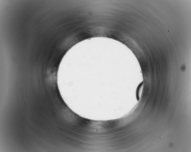 X0000103270190200809191751