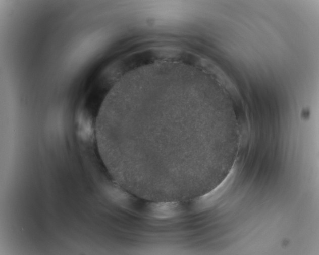 X0000103270191200809191751