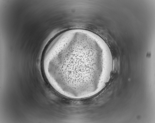 X0000103270195200809191750