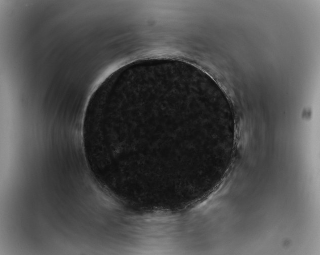 X0000103270196200809191750