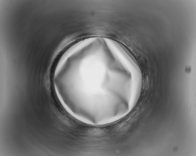 X0000103270198200809191750