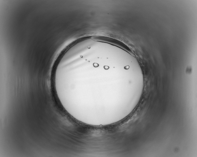 X0000103270200200809191750