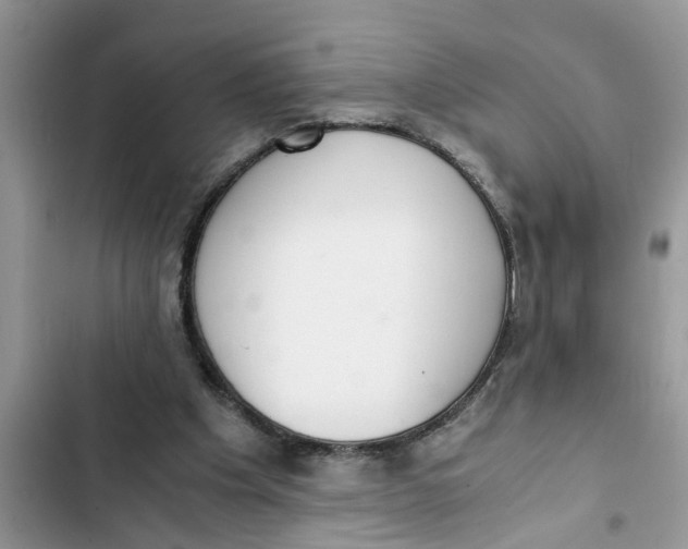 X0000103270201200809191750