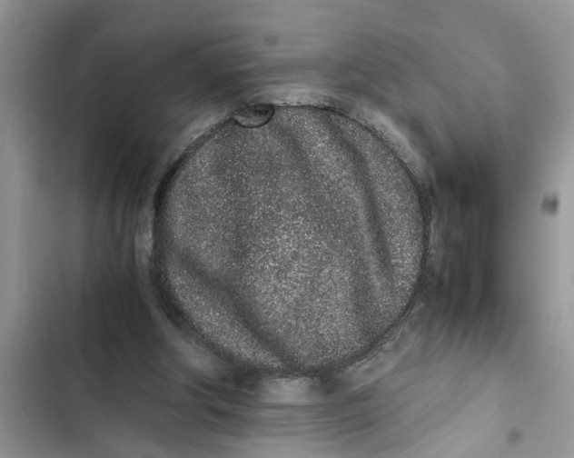 X0000103270202200809191750