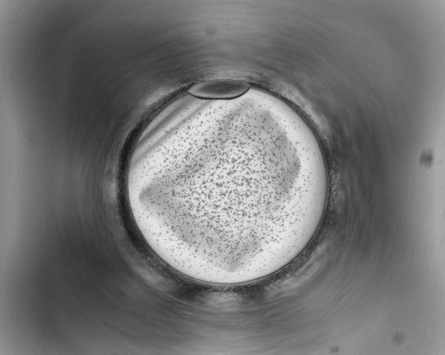 X0000103270203200809191750